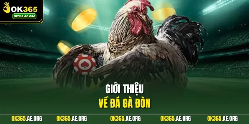 Giới thiệu về đá gà đòn