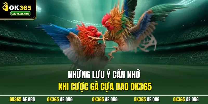 Những lưu ý cần nhớ khi cược gà cựa dao Ok365